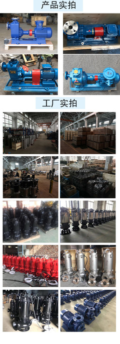 ZW无堵塞自吸泵 卧式不锈钢304离心泵在工程排污中的应用与定制化防爆升级